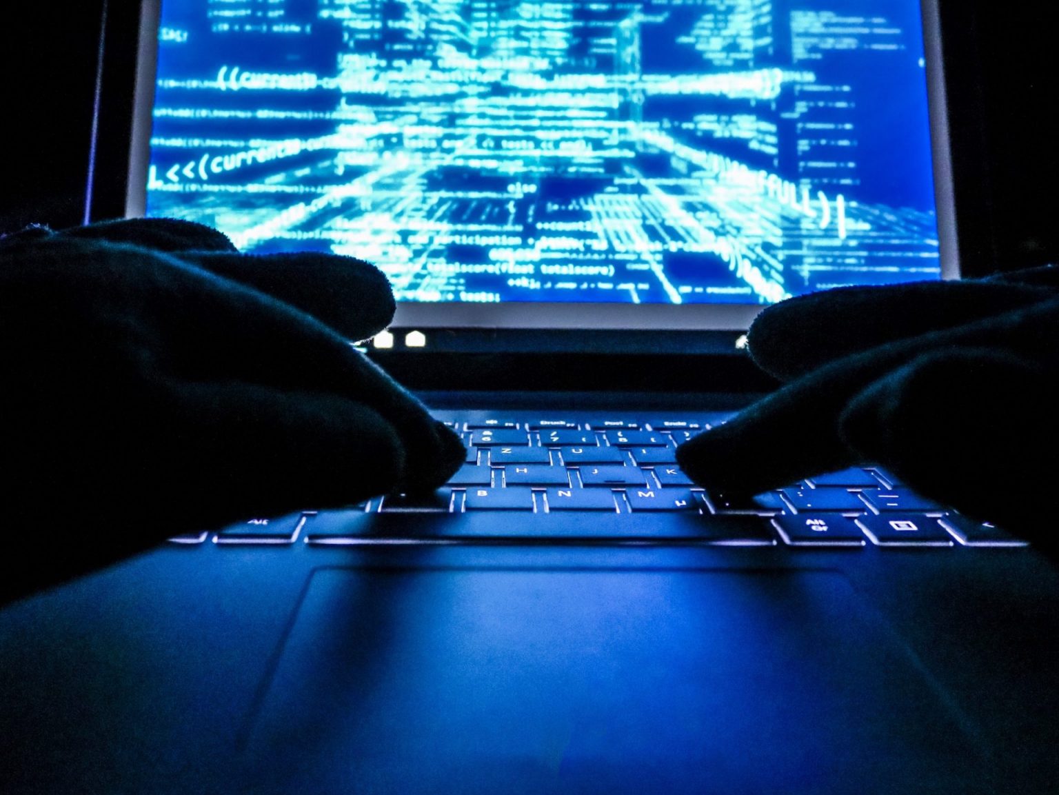 Hackers (Envato)