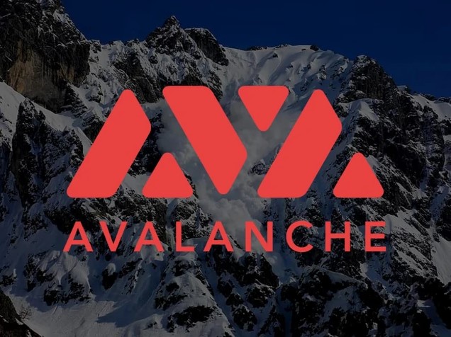 Avalanche (AVAX) (Reprodução)