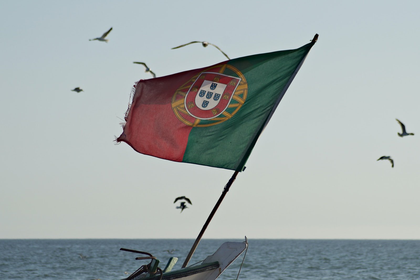 Bandeira de Portugal (Pedro Santos)