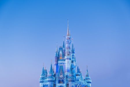 Walt Disney World (Brian McGowan)