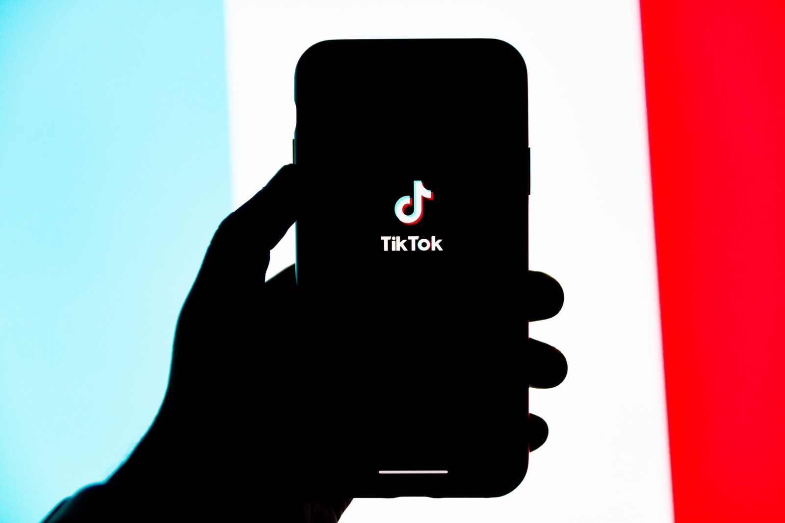 App TikTok (Solen Feyissa)