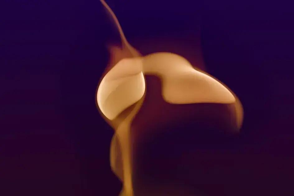 O impacto da biotecnologia na saúde: descubra como muda vidas O impacto da biotecnologia na saúde: descubra como muda vidas