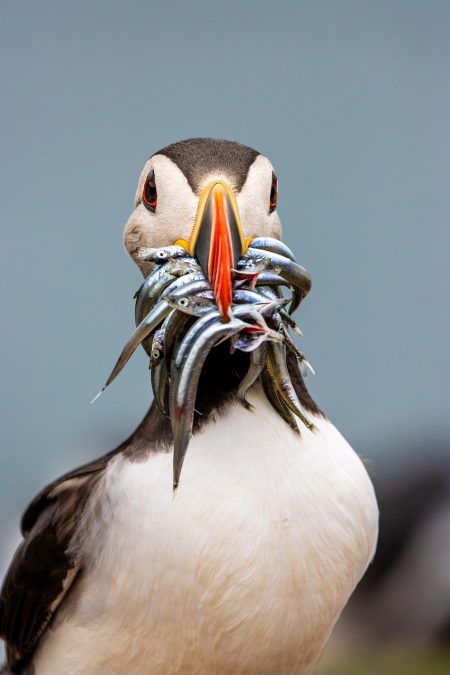 Supercomputador desvenda o que ocorre perto de um buraco negro black hole simulation