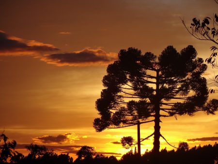Caxias do Sul fortalece mercado com nova agência de marketing digital marketing agency Caxias do Sul