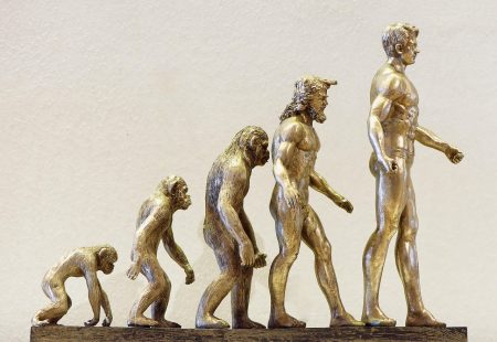 Ser gentil é uma estratégia evolutiva, revela a ciência kindness evolution