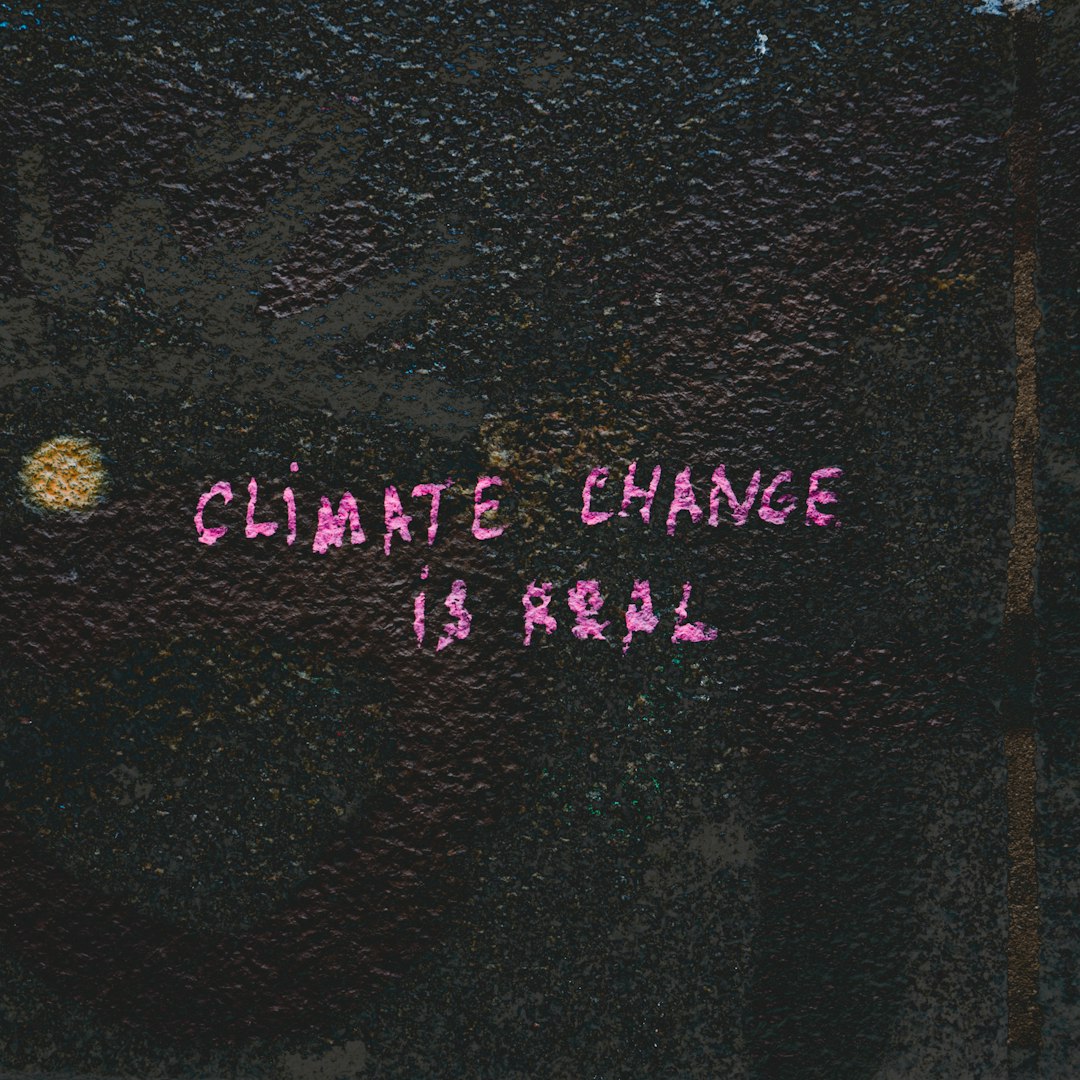 Why AI superintelligence isn’t the climate change answer AI and climate change