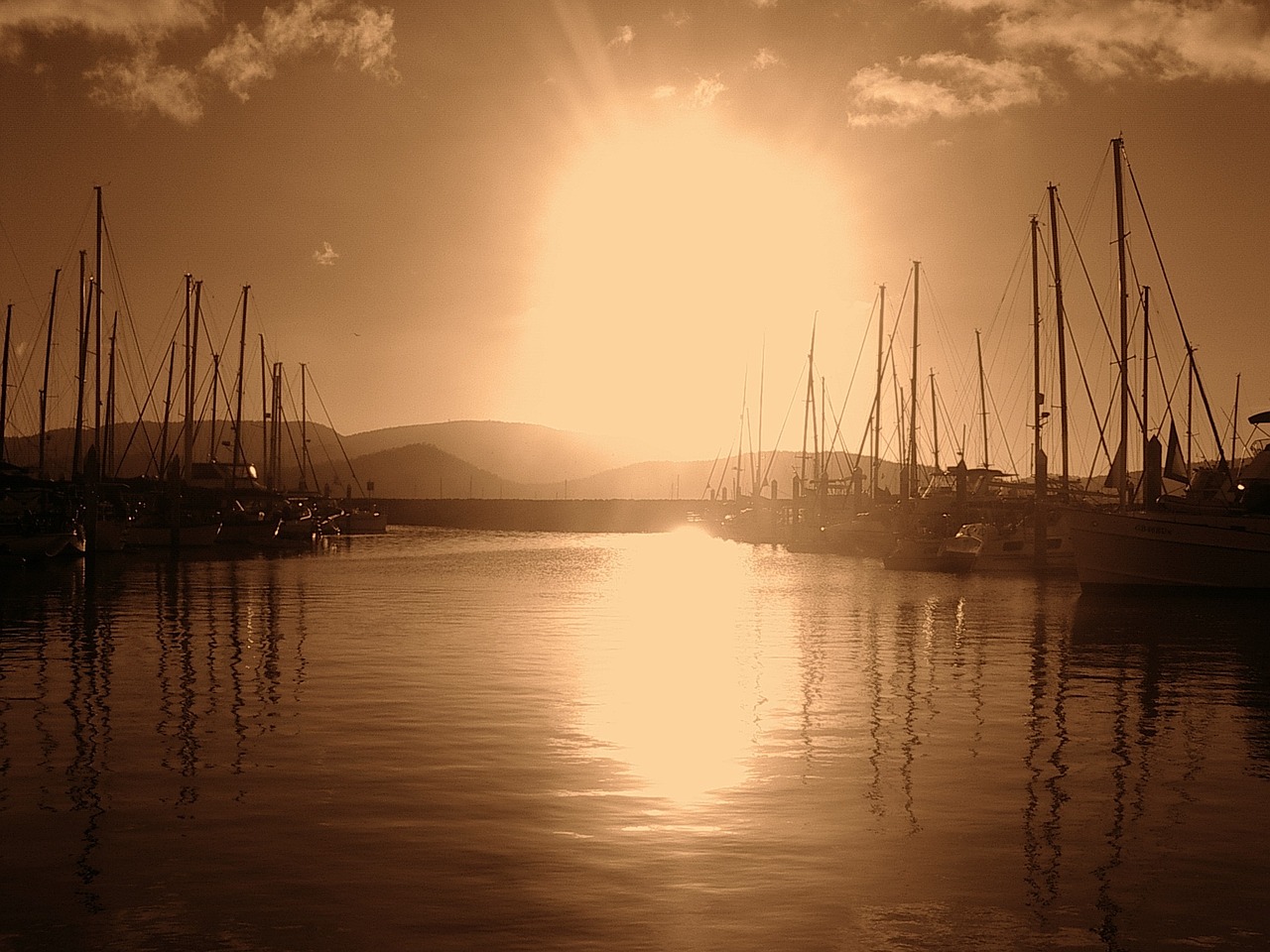 Pesquisas digitais: o ponto de não retorno da IA AI survey bot