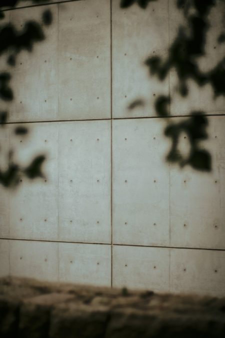 Alzheimer pode enganar o cérebro para apagar memórias Alzheimer memory brain