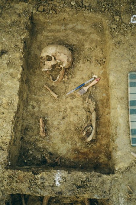 Ancient skeletons reveal viruses embedded in human DNA ancient human skeleton research