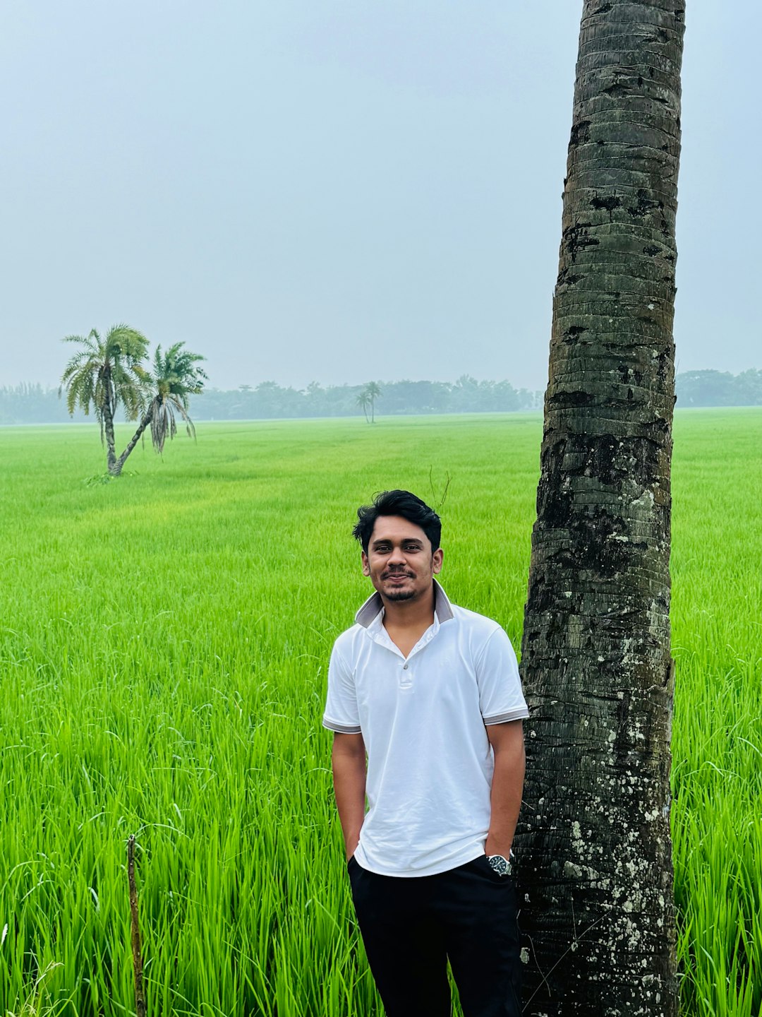 Indústria da beleza em alta: o boom do autocuidado e tecnologia beauty industry growth