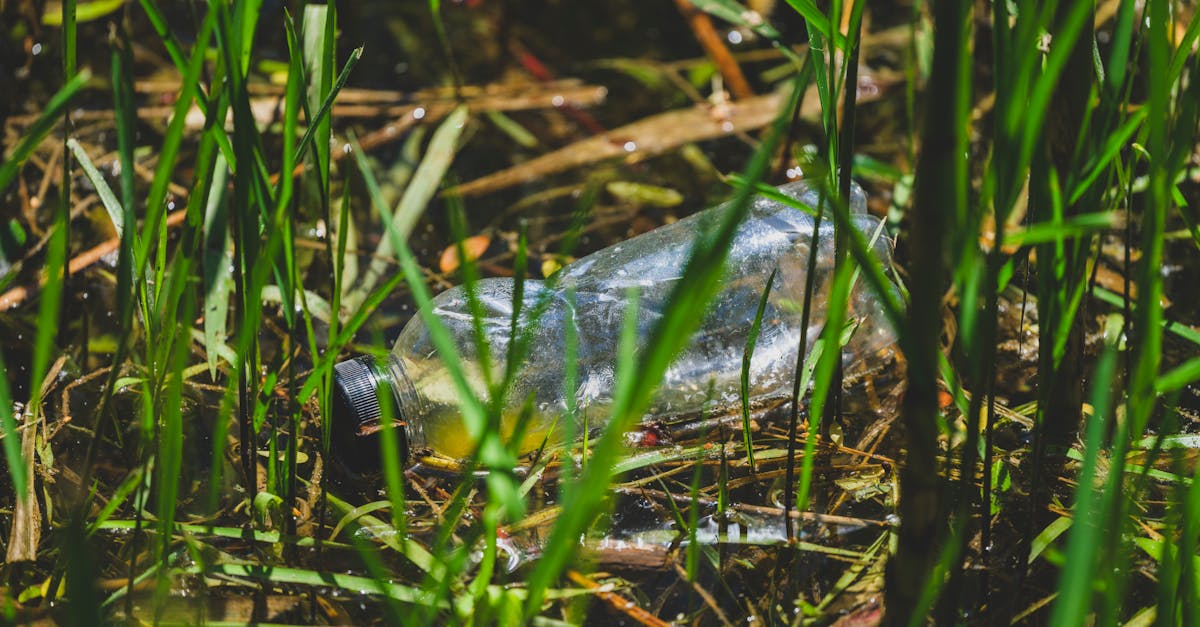 A água engarrafada que você confia pode ser a mais arriscada bottled water contamination