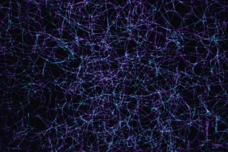 SIRT6: una proteína que modula la química cerebral brain chemistry neuron protein