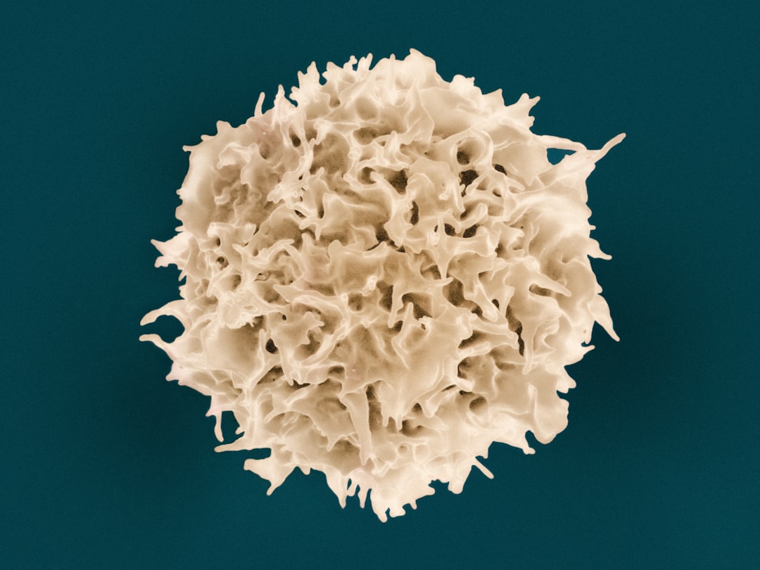 Cancer cell therapy breakthrough: Scientists grow key immune cells cancer cell therapy stem cells