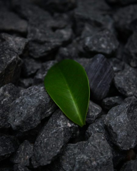 New building material actively pulls carbon from the air carbon capture building material