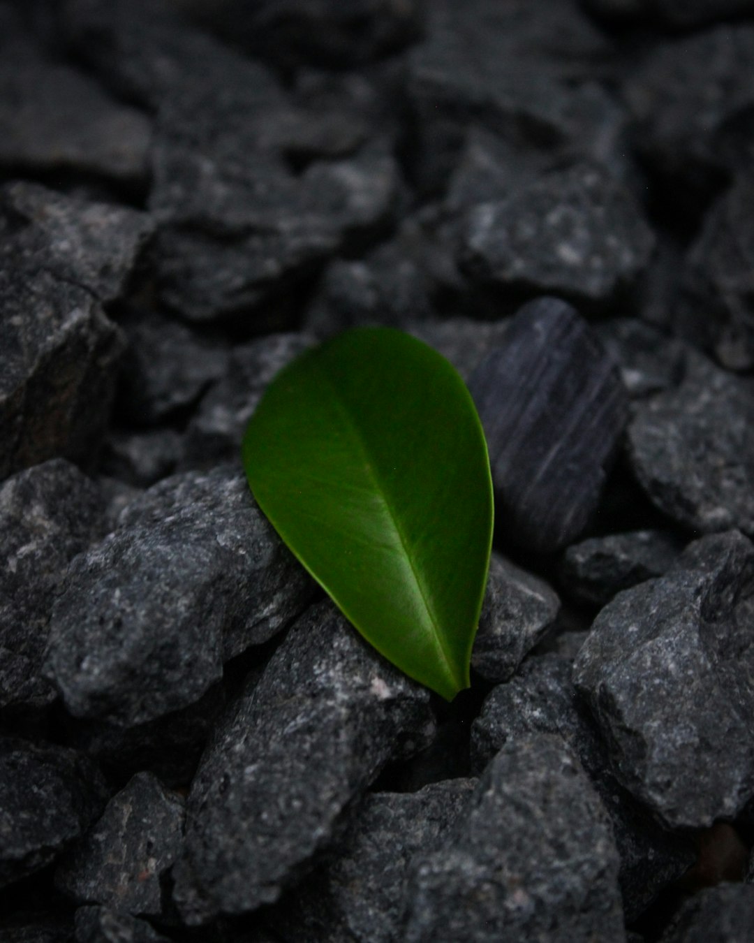 New building material actively pulls carbon from the air carbon capture building material