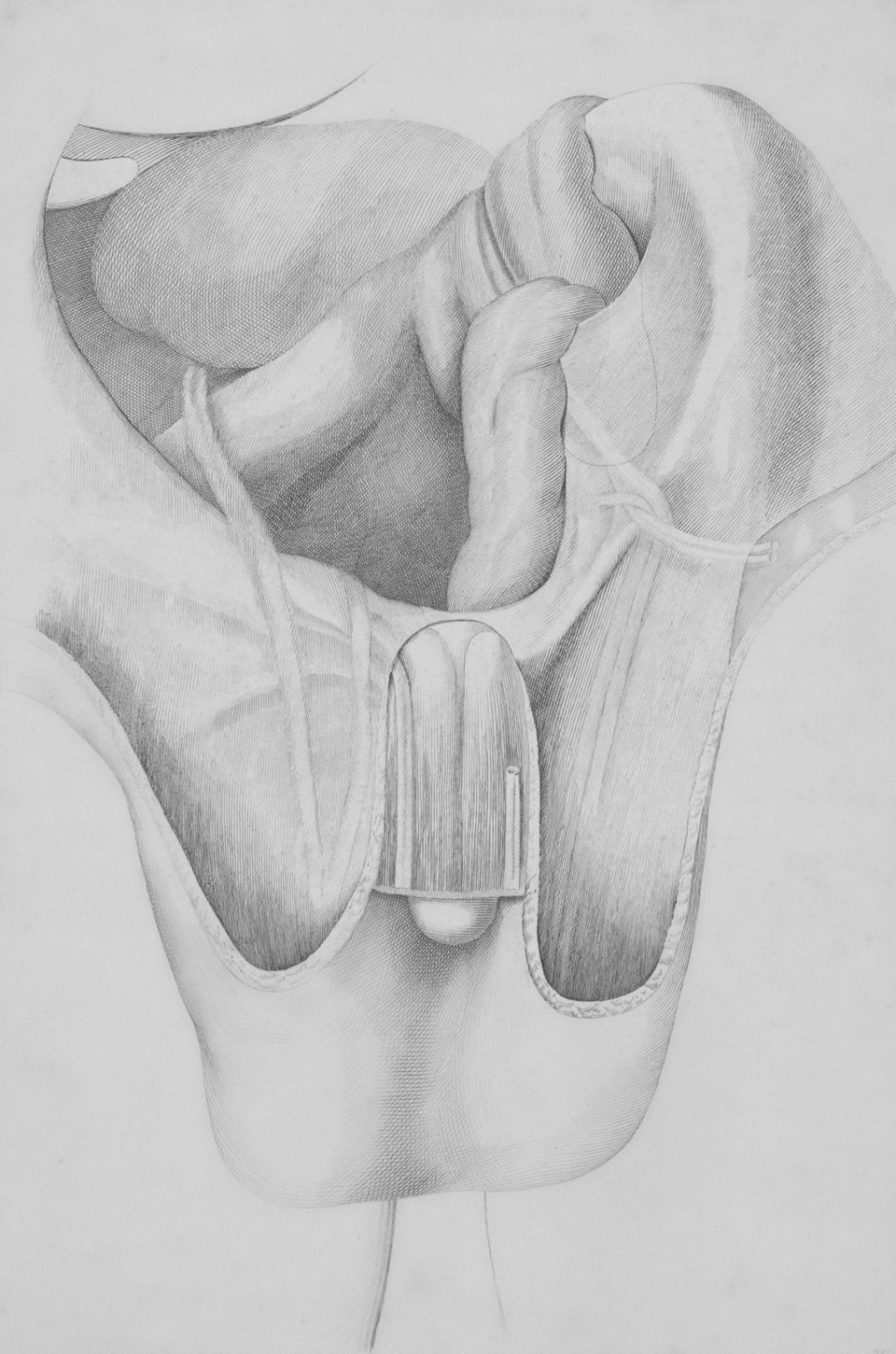 Stanford: Cientistas descobrem como regenerar cartilagem cartilage regeneration arthritis