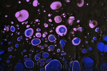 Life’s hidden energy cost: keeping order in chaos chemical reactions cells