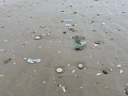 Cientistas rastreiam microplásticos de fertilizantes até praias fertilizer microplastics beach pollution