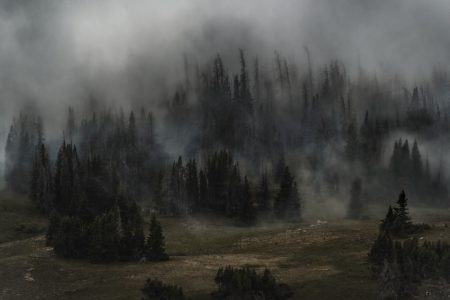 LA wildfires: Lessons from US disaster response a year on LA wildfires aftermath