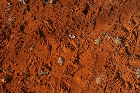 Mars colonization microbes: Building future habitats Mars microbes habitat