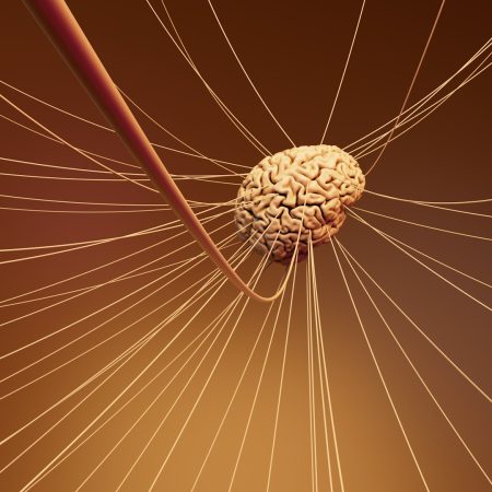 IA pode precisar de menos dados para um aprendizado eficaz neural network brain