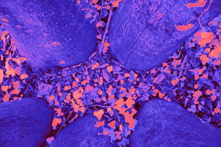 pancreatic cancer research