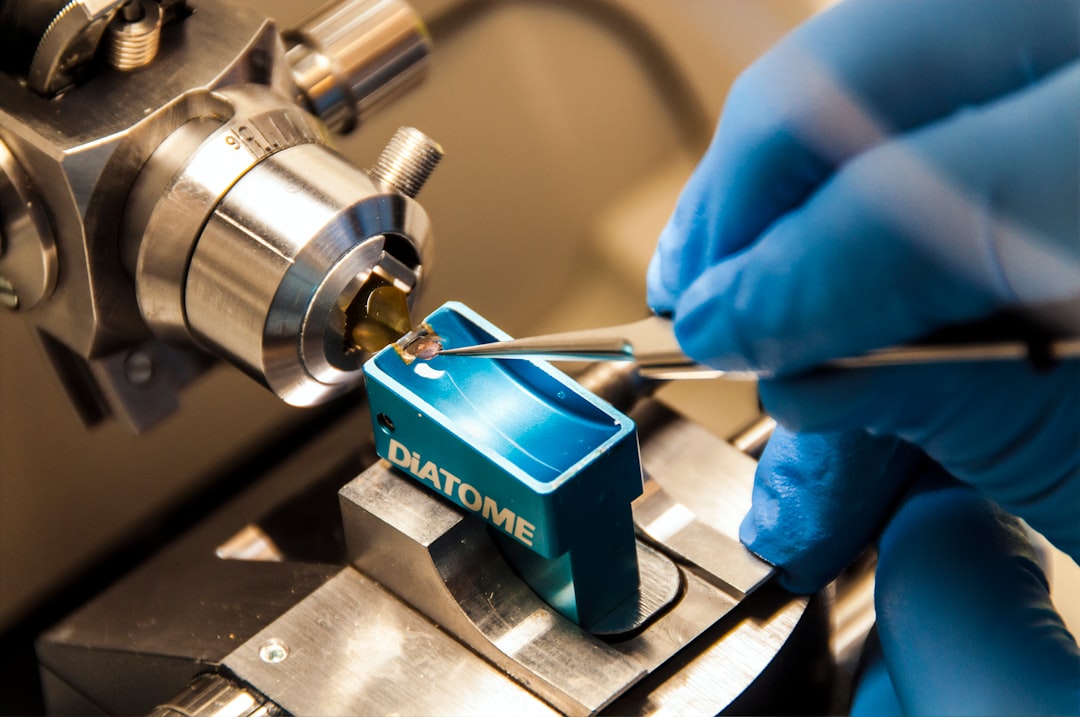 Cientistas transformam tomilho em medicina de precisão thyme precision medicine nanotechnology