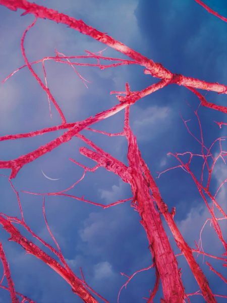 Cómo la diabetes tipo 2 daña silenciosamente los vasos sanguíneos type 2 diabetes blood vessels damage