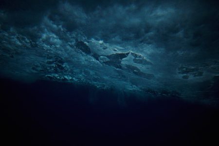 Marine darkwaves: Hidden ocean blackouts imperil sea life underwater darkness ocean