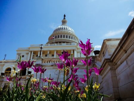 Ley cripto en el Senado de EEUU: Momento crítico US Capitol building crypto legislation