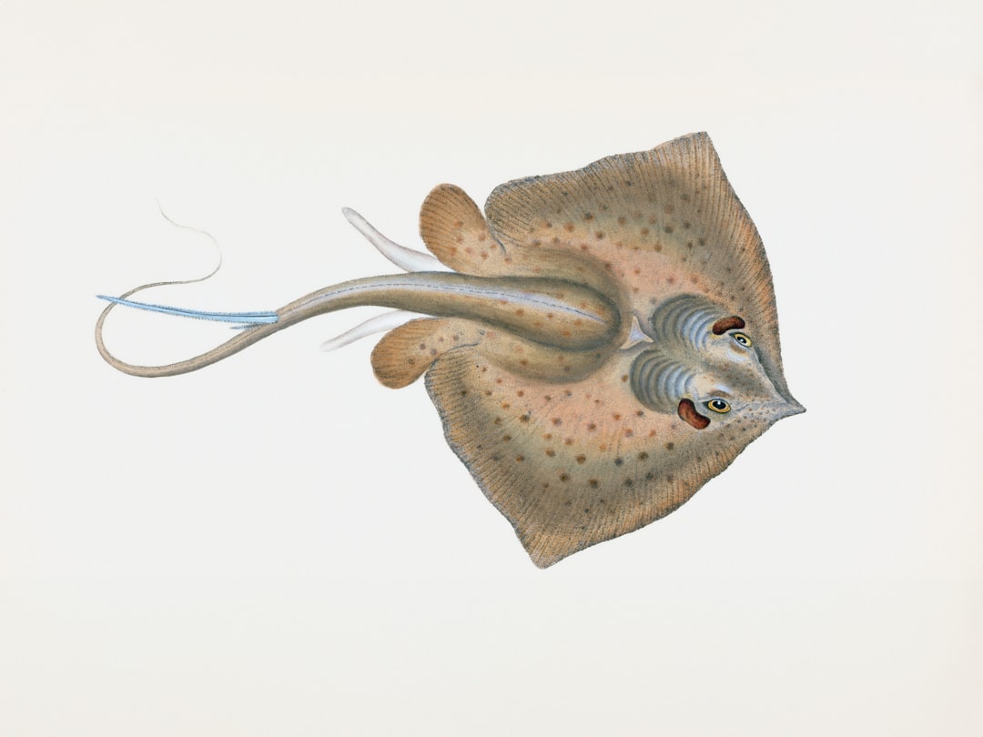 Estimulación del nervio vago: un implante para la depresión resistente vagus nerve stimulation implant