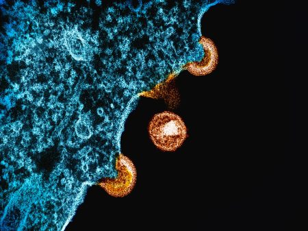 Descubren ‘migriones’, un atajo viral que acelera la infección viral infection cell migration
