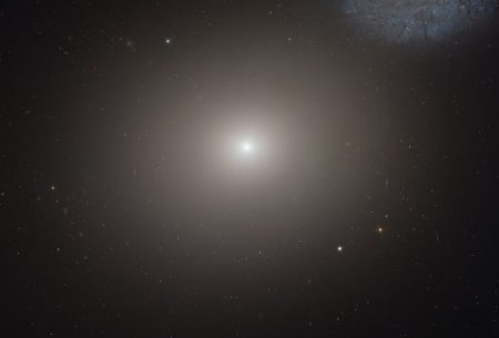 white dwarf star feeding