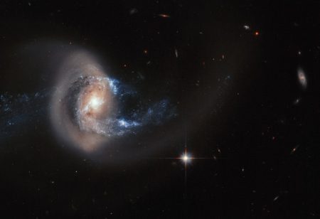 Wobbling black hole jet strips galaxy of vital star-forming gas wobbling black hole jet galaxy